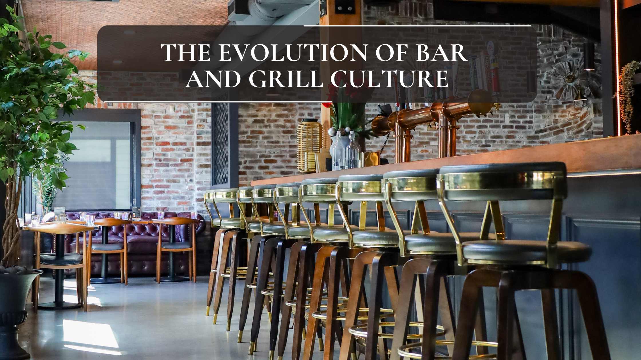 The Evolution of Bar and Grill Culture